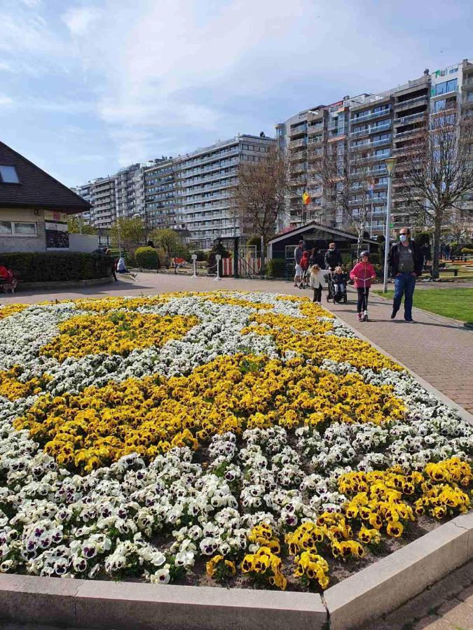 Apartmán Sun And Fun Blankenberge Exteriér fotografie